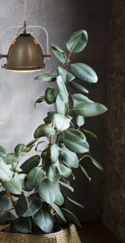 ALASKA Taklampa 26cm Järngrå