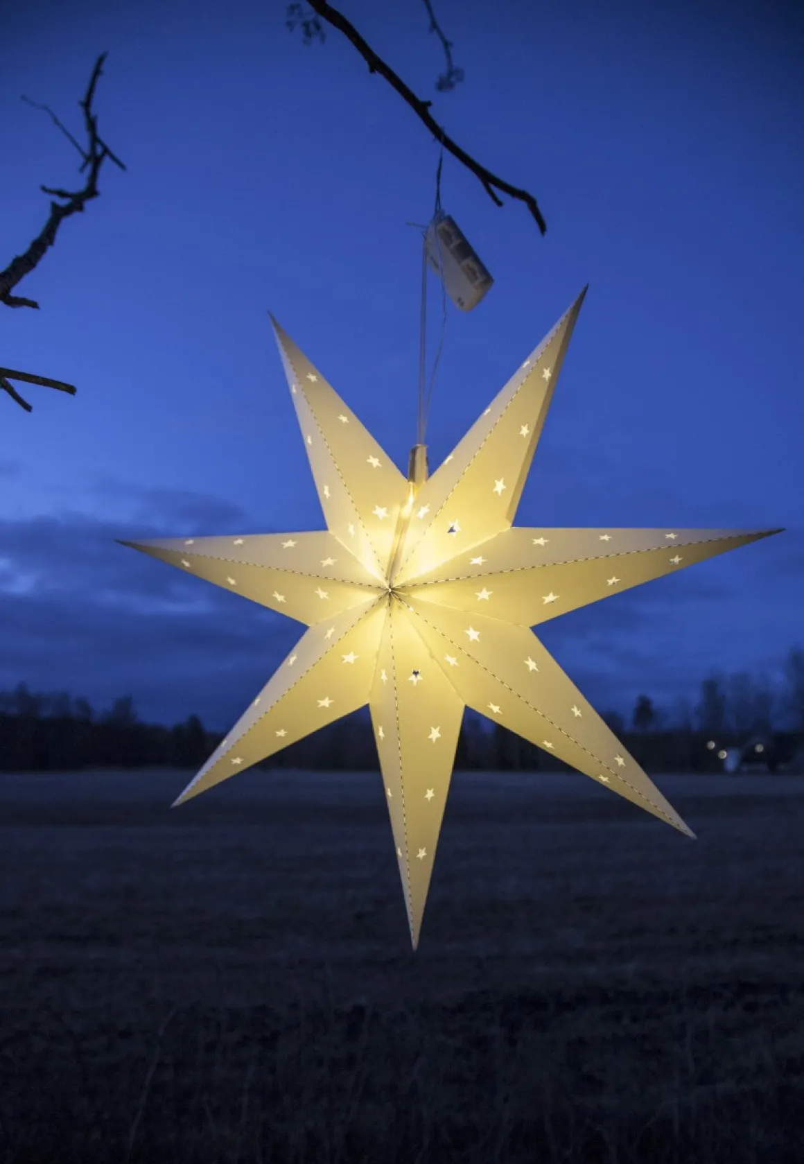 ALICE Stjärna 60cm 12LED IP44 Vit