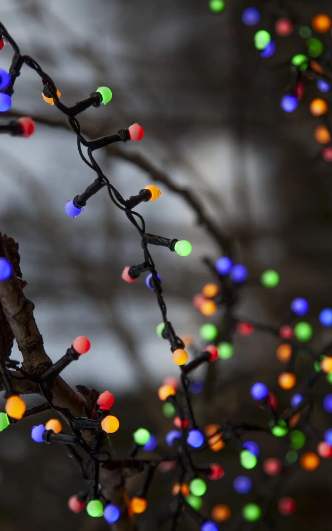 BERRY MINI Ljusslinga 300L 6m Svart/Flerfärgad IP44