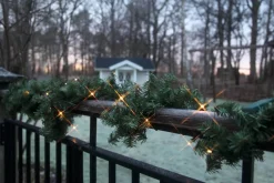 CANADIAN Girland 2,5m 30LED IP44