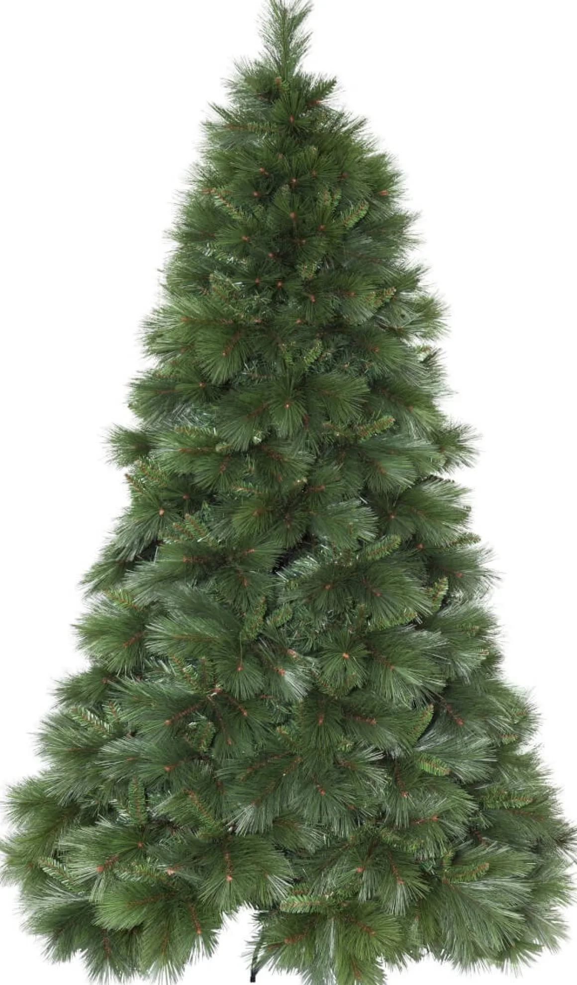 CEMBRA Julgran 2,4m Grön