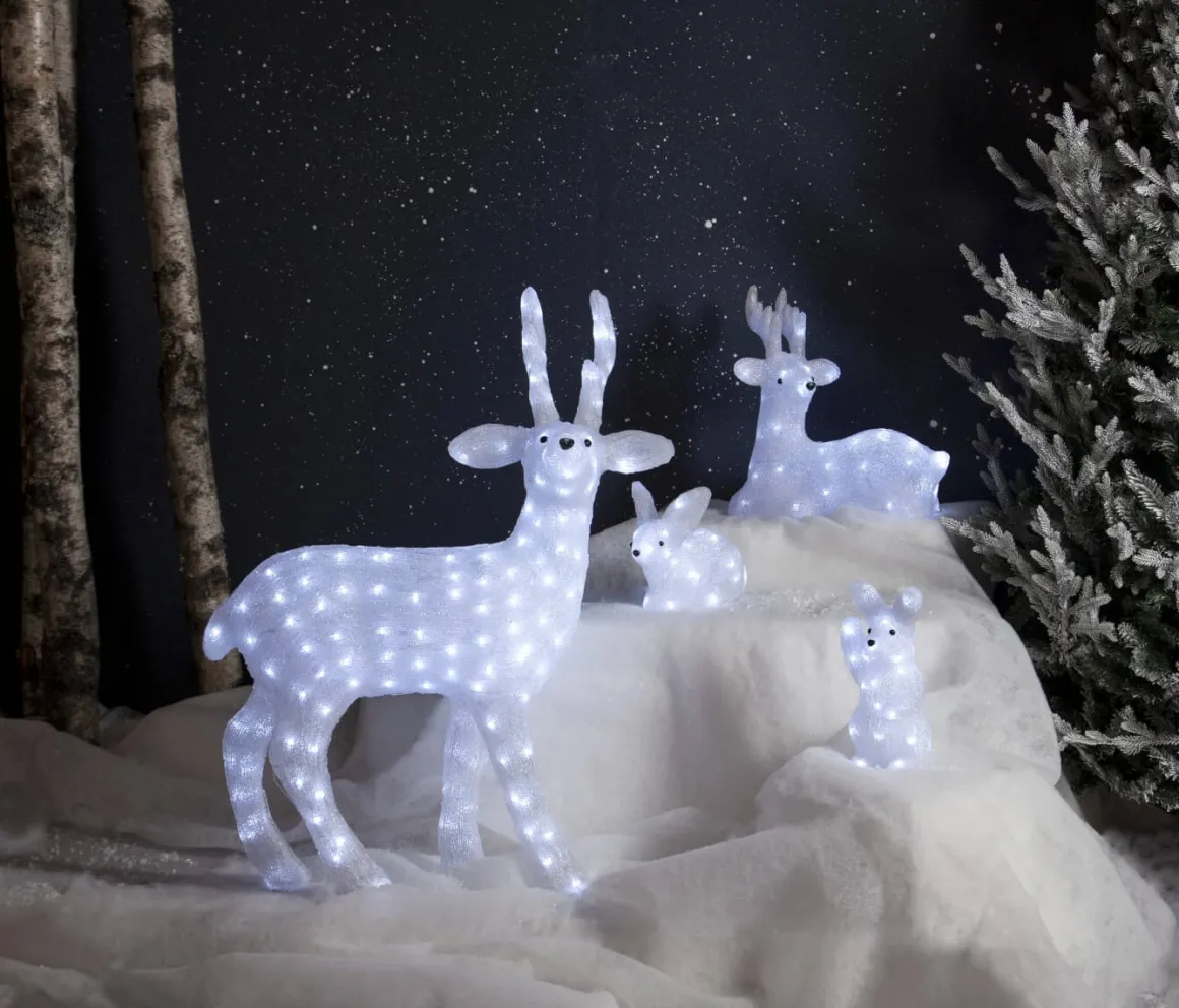 CRYSTALO Utomhusdekoration Kanin Batteri 29cm 30LED Klar IP44