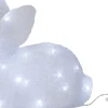 CRYSTALO Utomhusdekoration Kanin Batteri 27cm 30LED Klar IP44