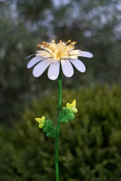 DAISY Solcellsdekoration Prästkrage 77cm