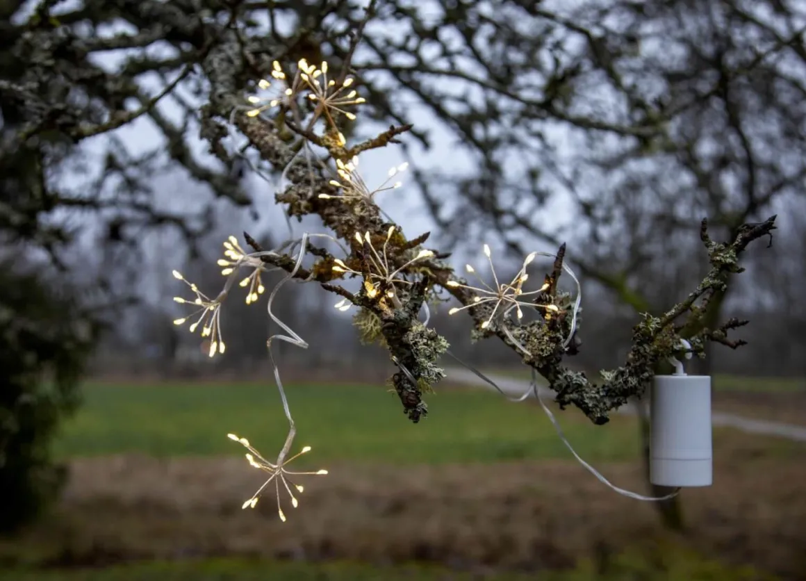 DEW DROP FLOWER Ljusslinga Batteri 2,1m 8LED Daylight/Silver IP44