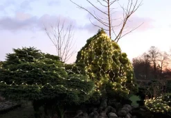 DEW DROP Ljusslinga Utomhus 10m IP44 Silver