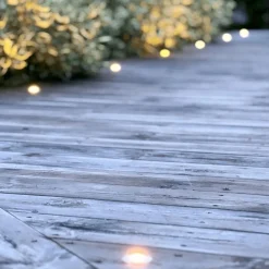 Dexter Decklight 5-Pack 4 cm 12V IP67