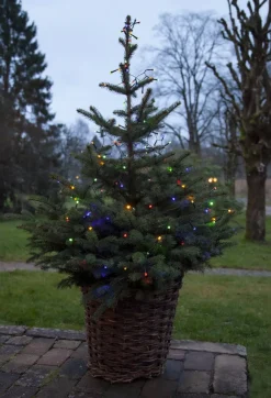 DIAMOND STAR LIGHT Batterislinga 80L 6m Svart/Flerfärgad IP44