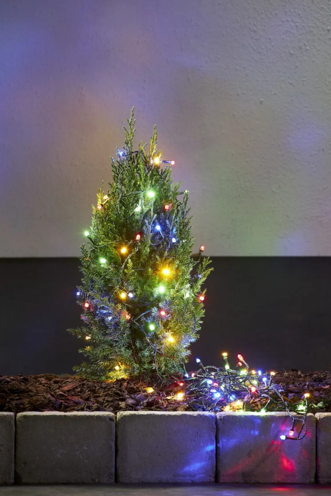 DIAMOND STAR LIGHT Ljusslinga 100L 7,5m Svart/Flerfärgad IP44