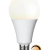 E27 Normal High Lumen 20W 2700k 2452lm Dimbar LED-lampa
