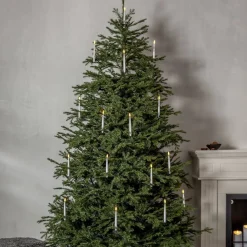 ENEDAL Julgran 2,1m Grön