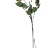 EUCALYPTUS Dekorationskvist 90cm Grön