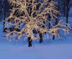 EXTRA SYSTEM LED Ljusnät 2m 100LED Varmvit/Svart IP44