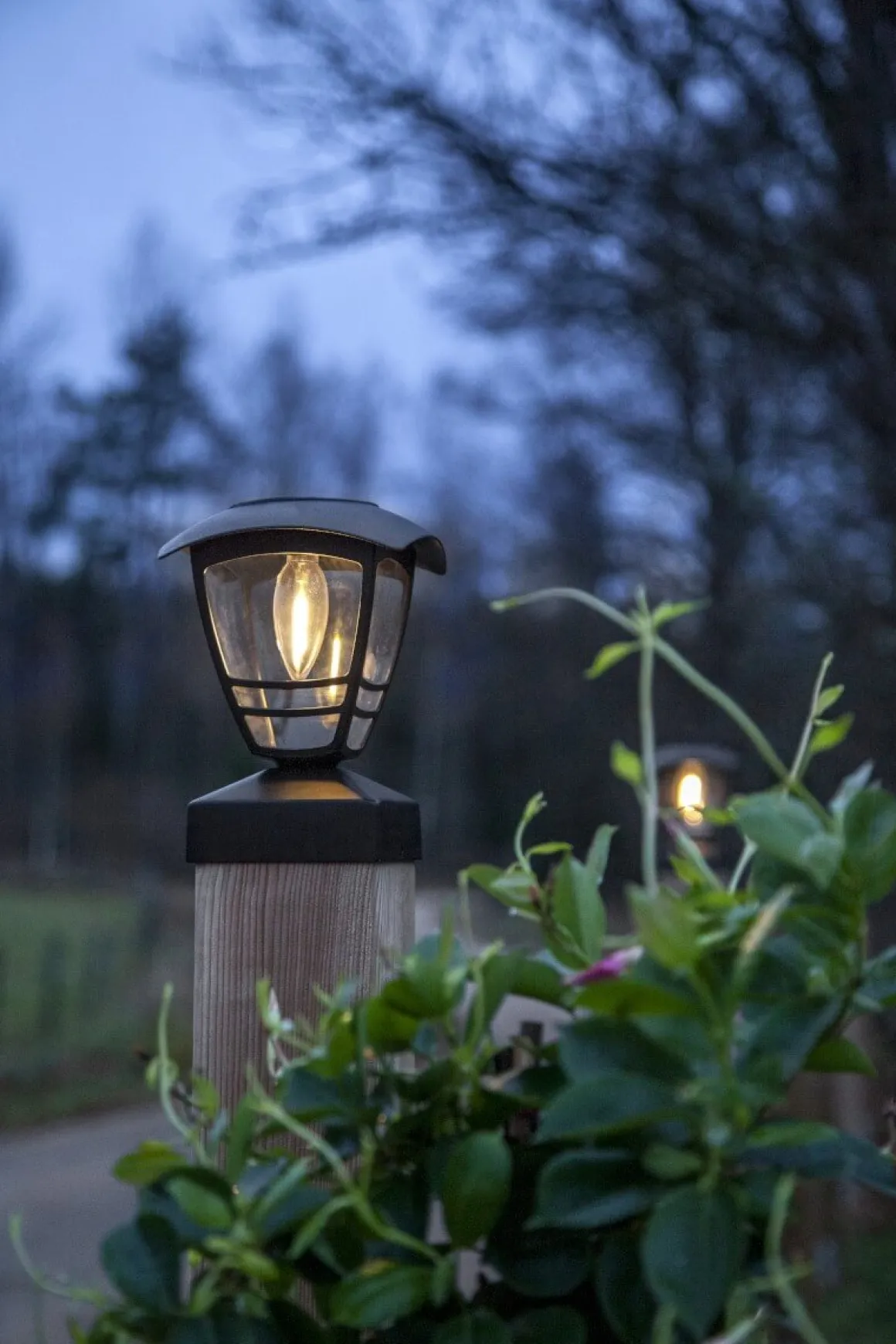 FELIX Solcellsdekoration 19cm Svart