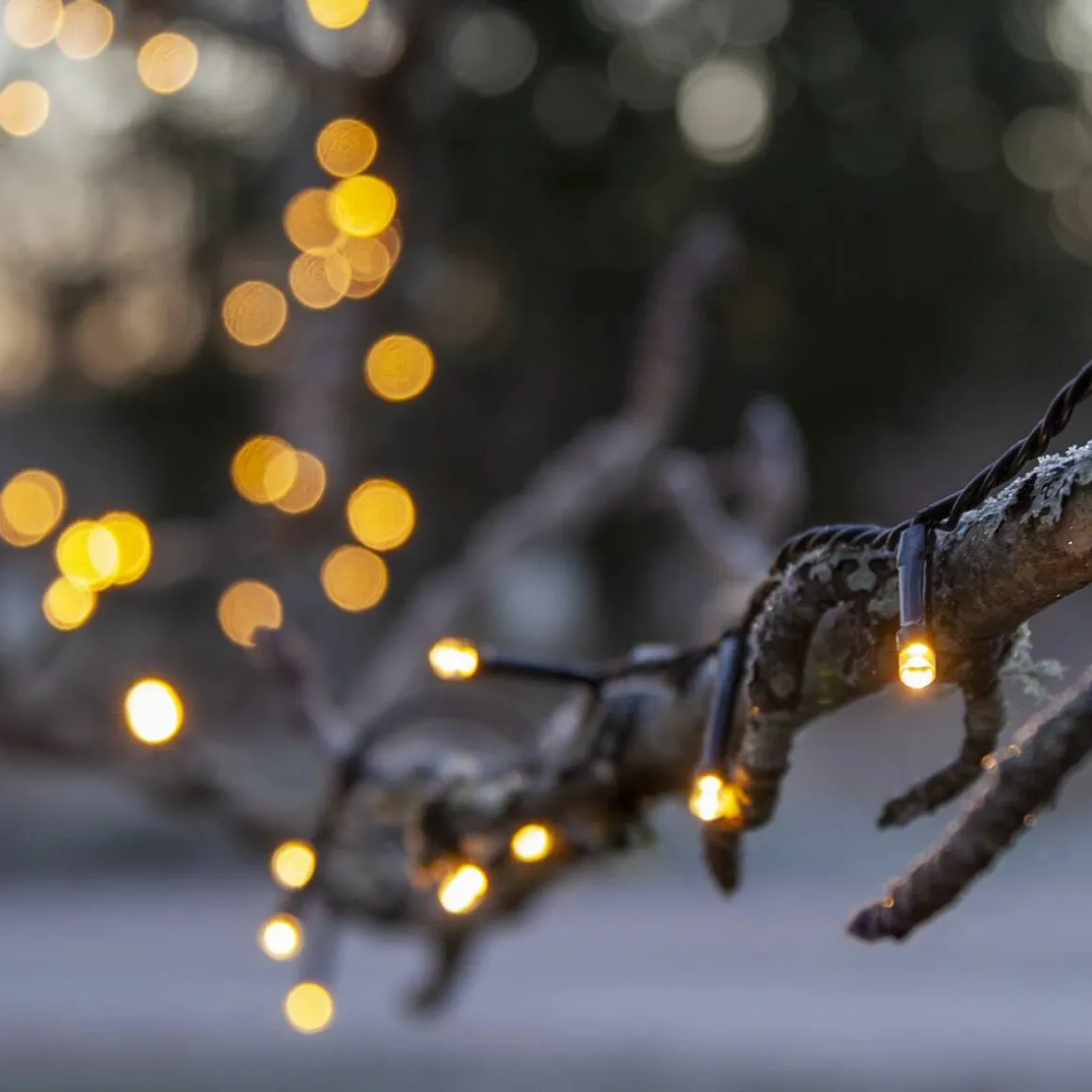 FLASHY Ljusslinga 7m 100LED Extra varmvit/Svart IP44