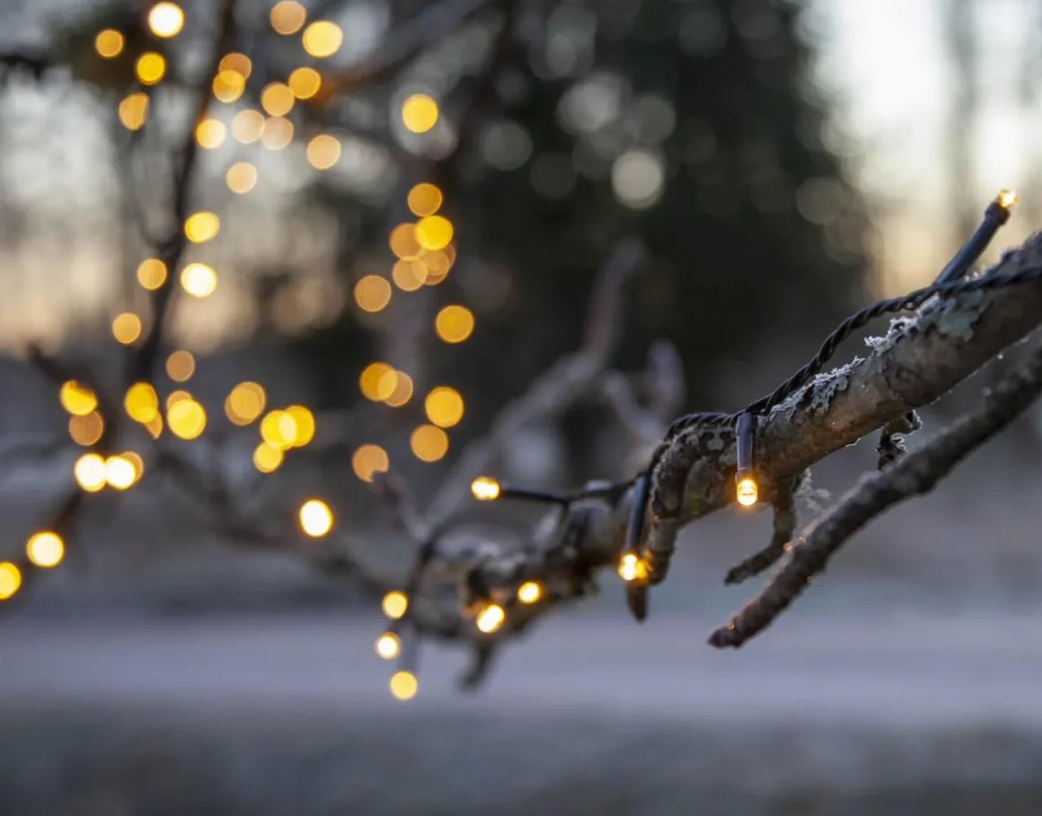 FLASHY Ljusslinga 7m 100LED Extra varmvit/Svart IP44