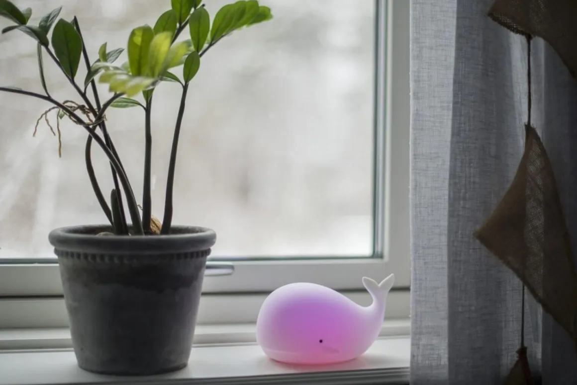 FUNCTIONAL LED-Nattlampa Val Batteri 16,7cm Vit