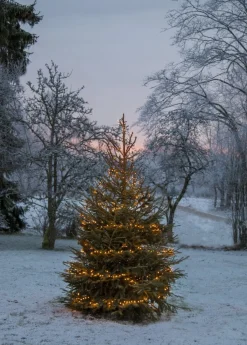 GOLDEN WARM WHITE Ljusslinga 24m 1200LED Extra varmvit/Svart IP44