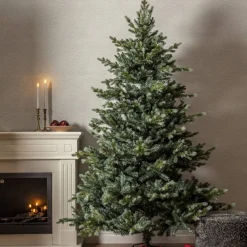 GREYLAND Julgran 210cm Grön