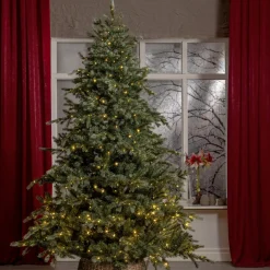 GREYLAND Julgran 210cm 700L Grön