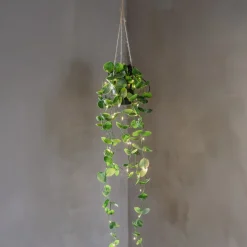 LAOS Konstväxt 60cm Grön