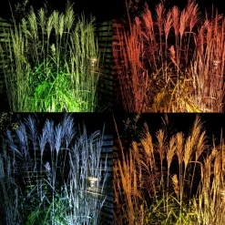 MEDUSA Trädgårdsspot 8,5cm 12V Svart IP67