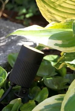 MEDUSA Trädgårdsspot 8,5cm 12V Svart IP67