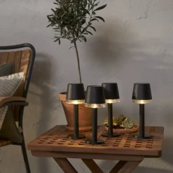 PARVUS Solcellsdekoration 21cm Svart