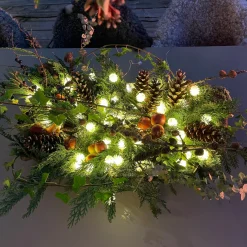 PINE Ljusslinga 10m 12V IP44