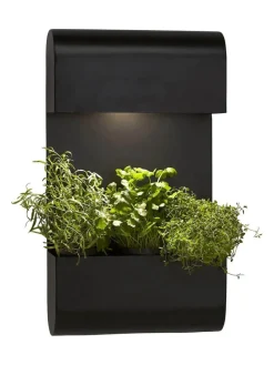 PLANTA Vägglampa 70cm Svart