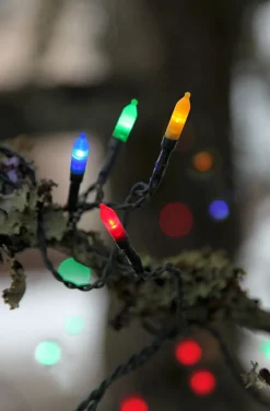 P-LED Ljusslinga Utomhus 16m 80LED IP44 Flerfärgad Grön