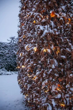 SHINY Ljusnät WARMWHITE 200L 3*3m Svart/Varmvit