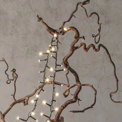 SHINY WARMWHITE Ljusslinga 3m 40LED Varmvit/Svart IP44