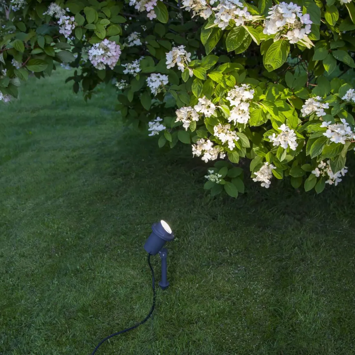 SPOTLIGHT FOCUS Utomhusdekoration 30cm Svart IP44