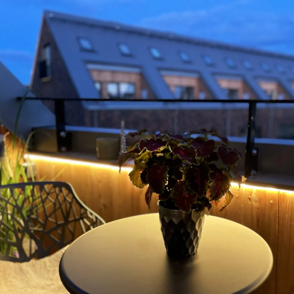 STRIP LIGHT 250cm 12V Utomhus