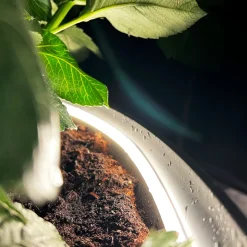 STRIP LIGHT 500cm 12V Utomhus