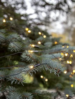 SYSTEM DECOR EXTRA Ljusnät 2m 100LED Varmvit/Svart IP44