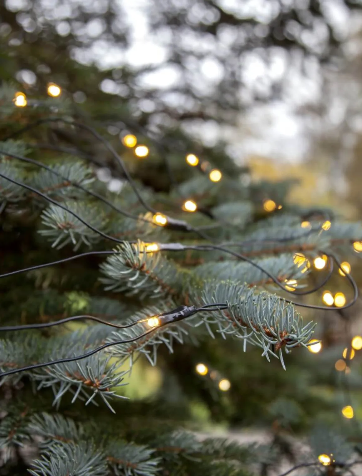 SYSTEM DECOR EXTRA Ljusnät 2m 100LED Varmvit/Svart IP44