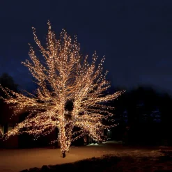 SYSTEM EXPO jusslinga Start 10m IP44 Klar