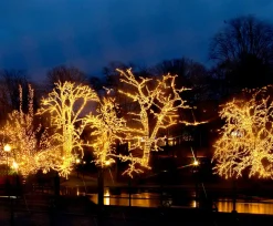 SYSTEM LED EXTRA Ljusslinga 5m 50LED Varmvit/Svart IP44