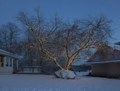 SYSTEM LED EXTRA Ljusslinga 5m 50LED Varmvit/Svart IP44