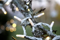 SYSTEM LED EXTRA Ljusslinga 5m 50LED Varmvit/Vit IP44