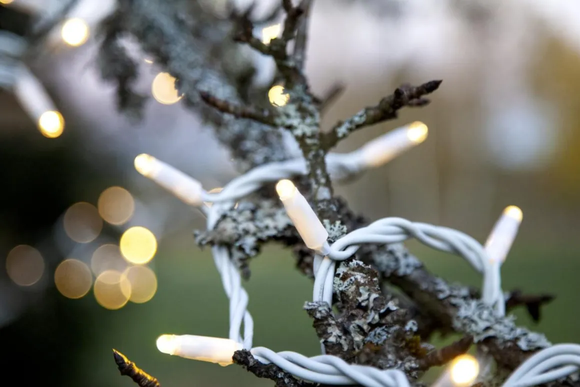 SYSTEM LED EXTRA Ljusslinga 5m 50LED Varmvit/Vit IP44