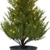 THUJA Dekorationsträd Batteri 55cm Grön
