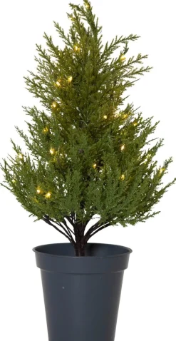 THUJA Dekorationsträd Batteri 55cm Grön