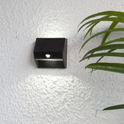 WALLY 50/5 LUMEN Solcells-vägglykta 11cm Svart