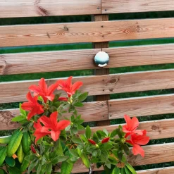 ZENIT Decklight 7cm 12V Silver IP67